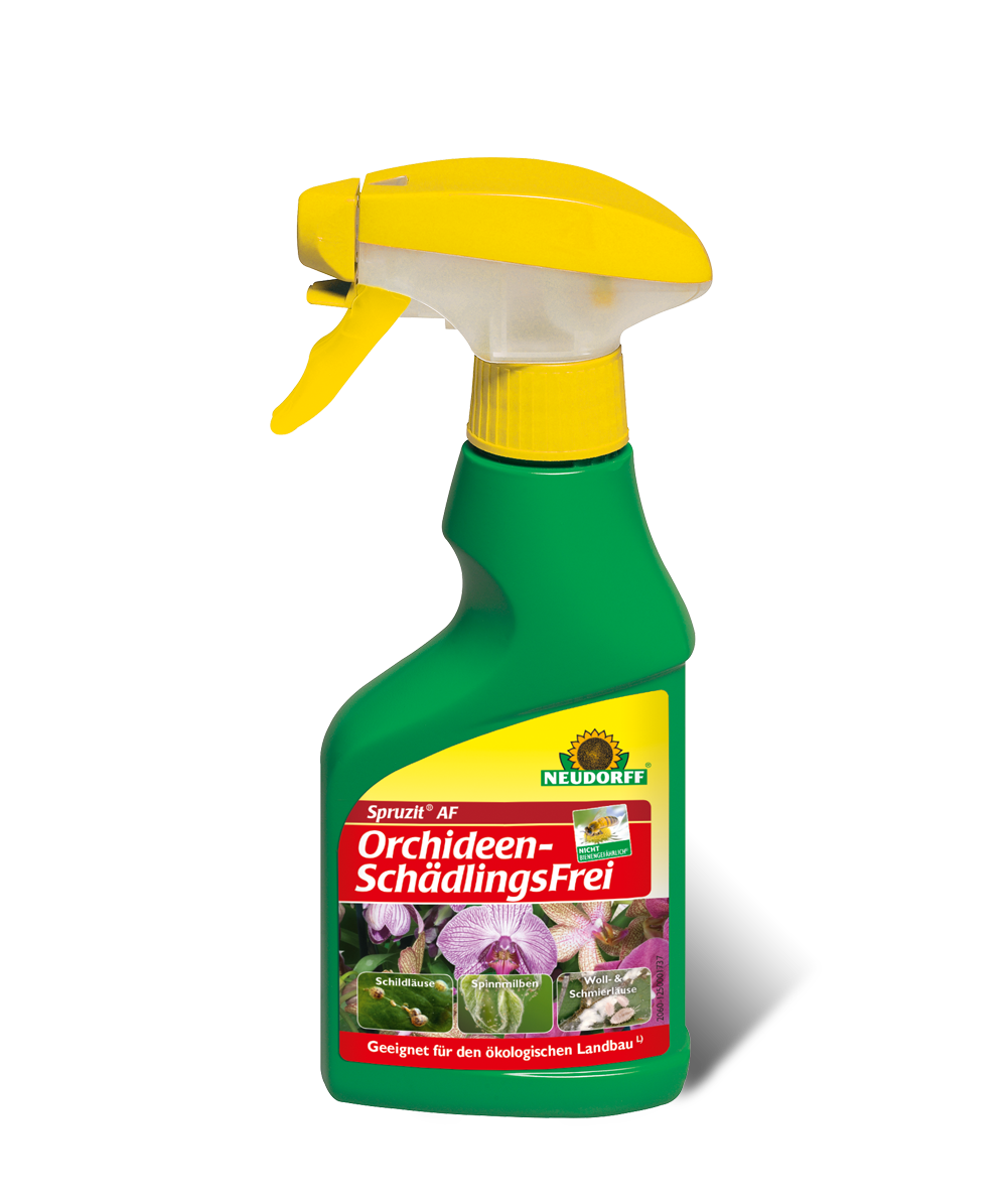 Neudorff Spruzit AF Orchideen Schädlingsfrei 250 ml Bekämpfung von Schädlingen