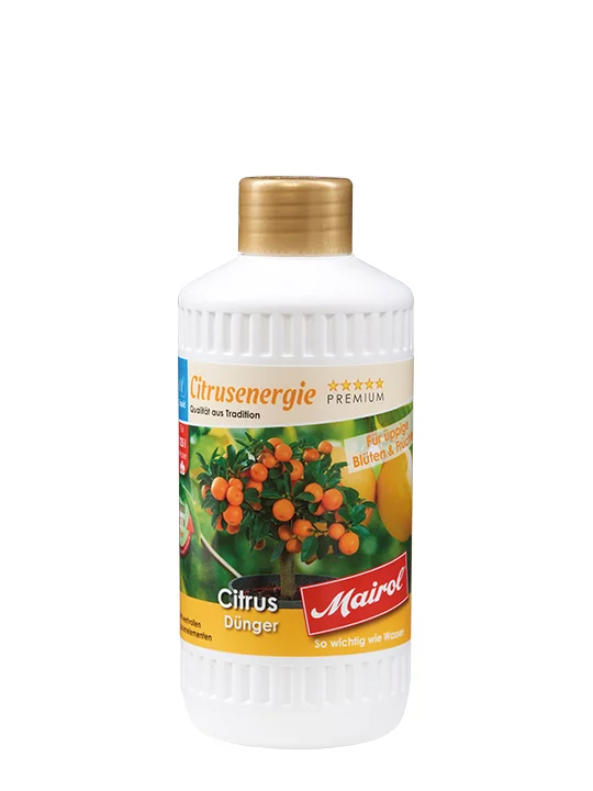 Mairol Citrusdünger Citrusenergie Liquid 500ml